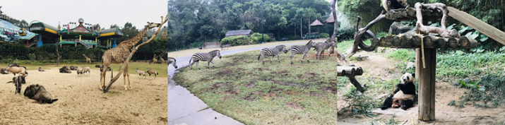 1608866747991635.png QQ截圖20201225112504.png